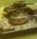 Benutzeravatar