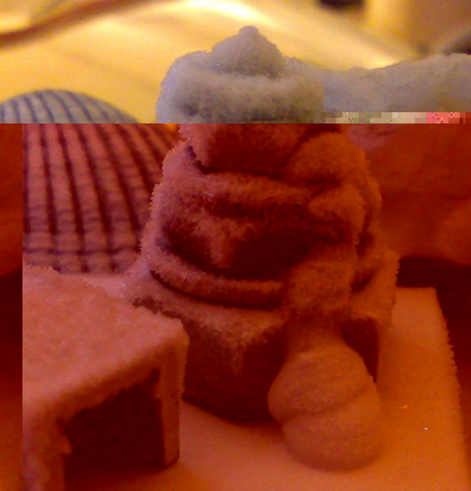 03112009611.jpg
