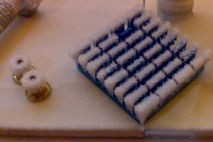 03112009612.jpg